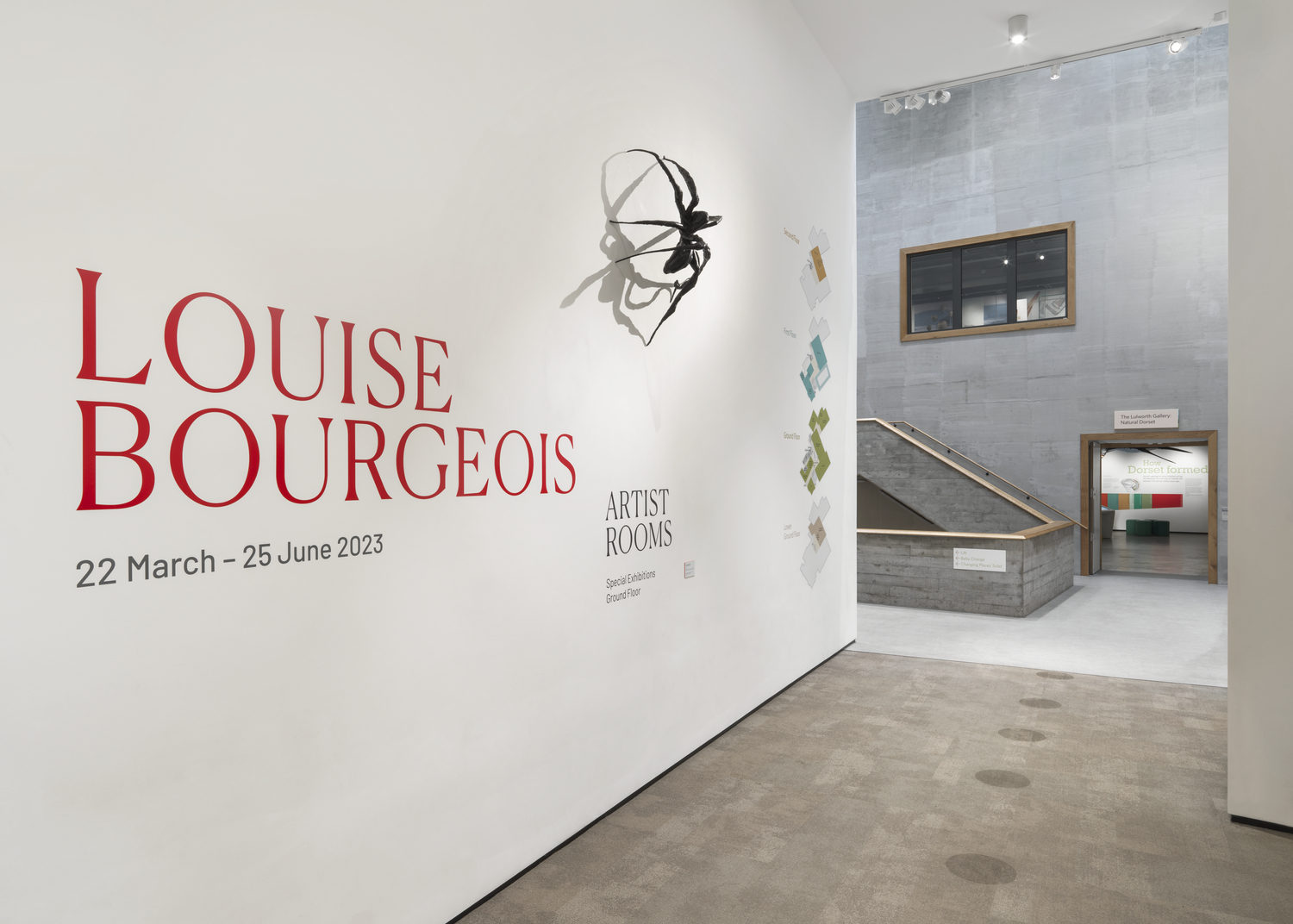 Louise Bourgeois, Dorset | Artist Rooms